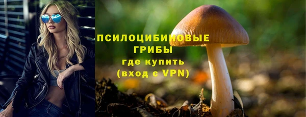 индика Баксан