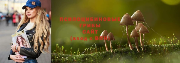 гидра Балабаново