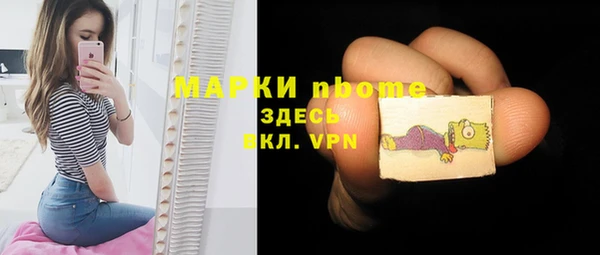 индика Баксан