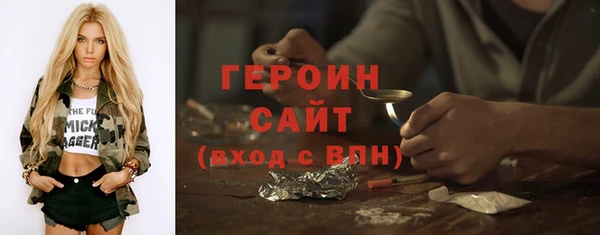 хмурый Пересвет