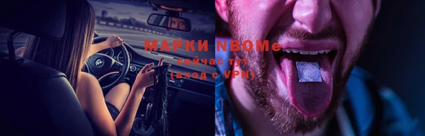 индика Баксан