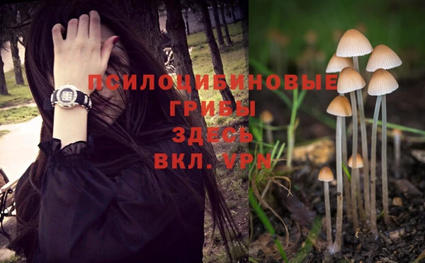 гидра Балабаново