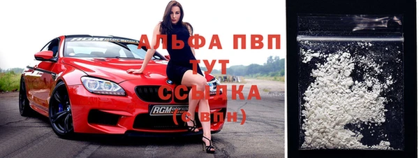 индика Баксан