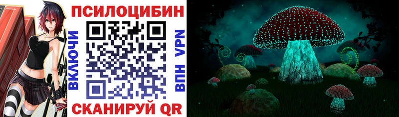 Псилоцибиновые грибы мицелий  наркота  Талица 